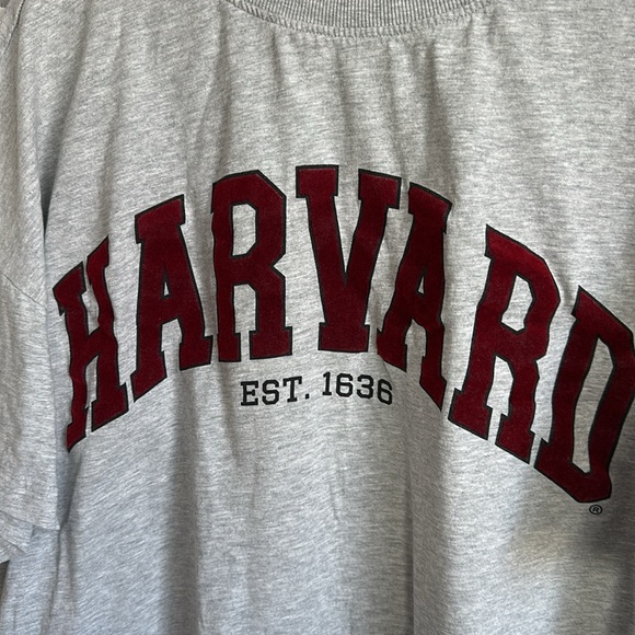 Harvard H&M boxy velvet letter tee - Picture 2 of 5